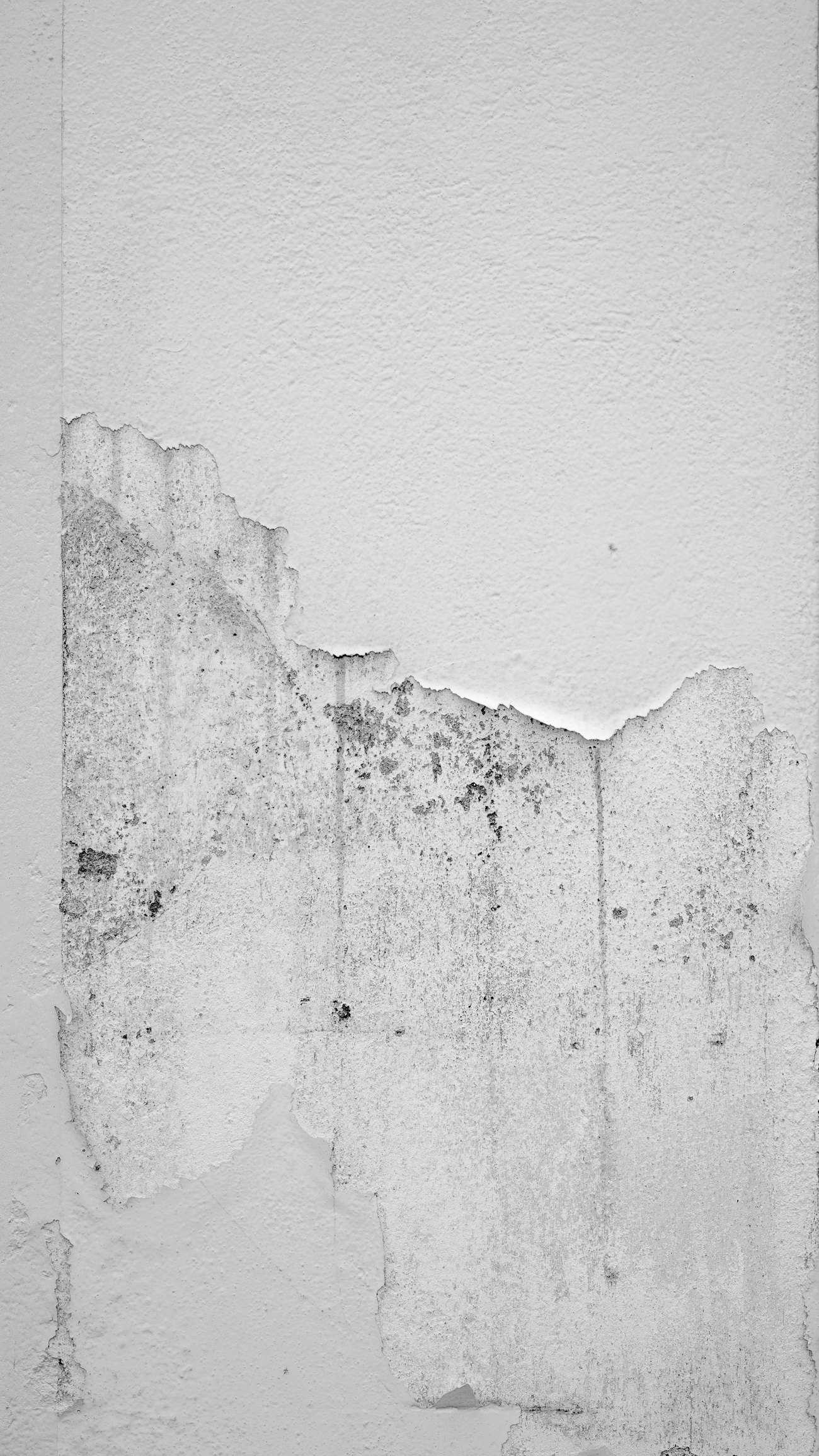 A wall showing damp and mould damage